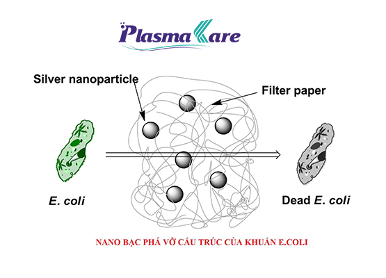 Plasma Nano Bạc – thành phần đột phá trong xịt rửa tay khô PlasmaKare 1 Plasma Nano Bạc – thành phần đột phá trong xịt rửa tay khô PlasmaKare 1