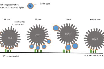 4 tác dụng vượt trội của phức hệ nano bạc chuẩn hoá TSN
