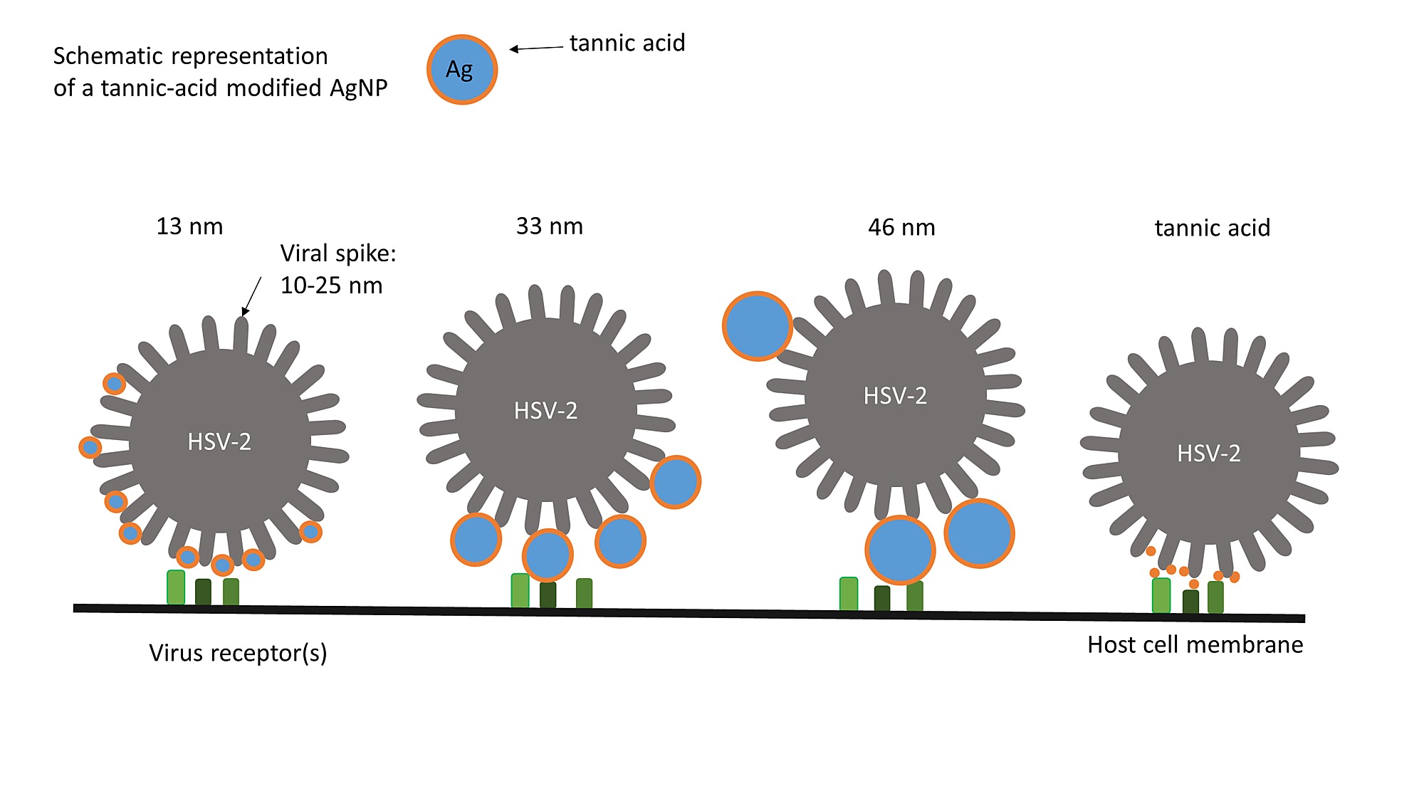 4-tac-dung-vuot-troi-cua-phuc-he-nano-bac-chuan-hoa-tsn-4