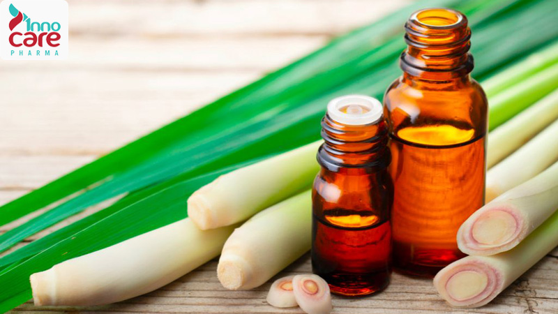 Lợi ích của cách đuổi muỗi trong phòng ngủ bằng sả 1 Lợi ích của cách đuổi muỗi trong phòng ngủ bằng sả 1