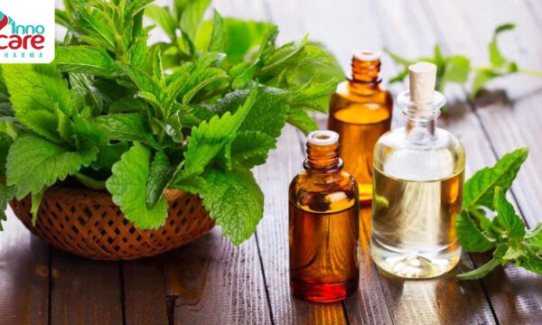 TOP 13 cách đuổi muỗi tự nhiên hiệu quả và an toàn