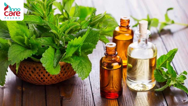 Lợi ích của các phương pháp đuổi muỗi tự nhiên 1 Lợi ích của các phương pháp đuổi muỗi tự nhiên 1