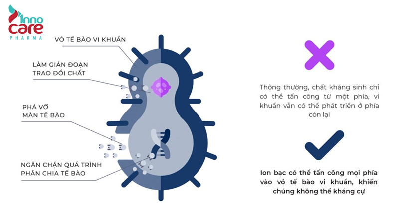 Diện tích bề mặt rất lớn, tăng khả năng tiếp xúc và tiêu diệt vi sinh vật 1