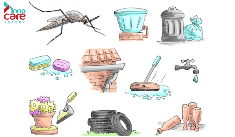 1. Dọn dẹp khu vực đọng nước thường xuyên 1