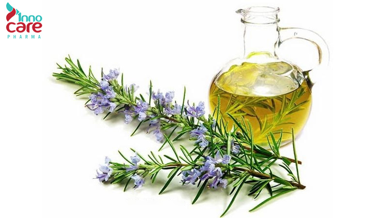Cách sử dụng tinh dầu hương thảo để đuổi muỗi 1