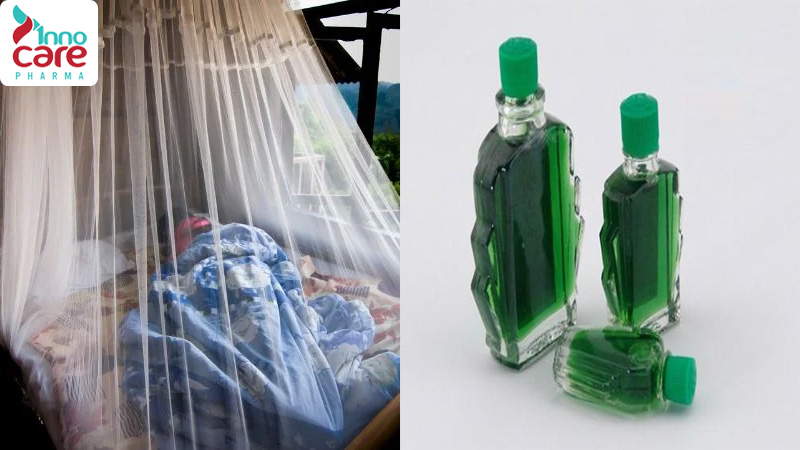 Cách xua đuổi muỗi bằng dầu gió