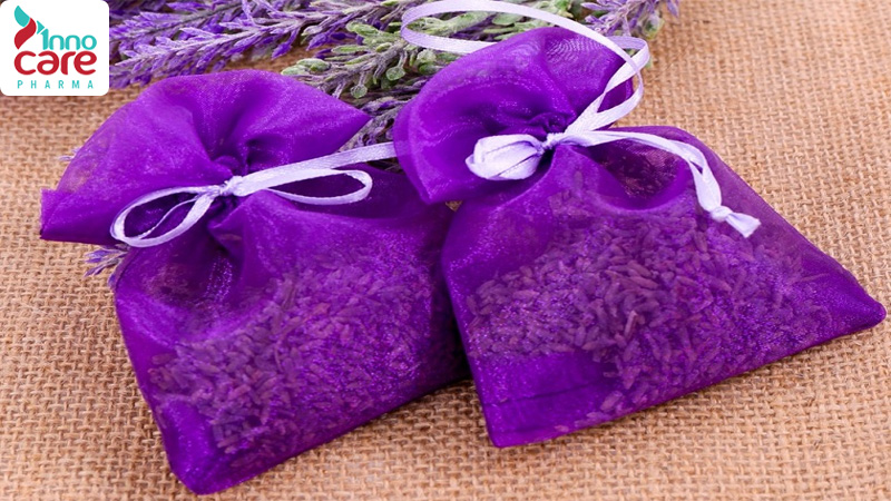 Công dụng đuổi xua muỗi của hoa oải hương