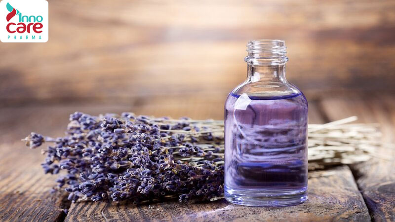Tinh dầu hoa Lavender đuổi muỗi