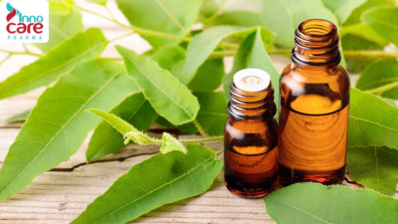 Tinh dầu bạch đàn chanh xua đuổi muỗi