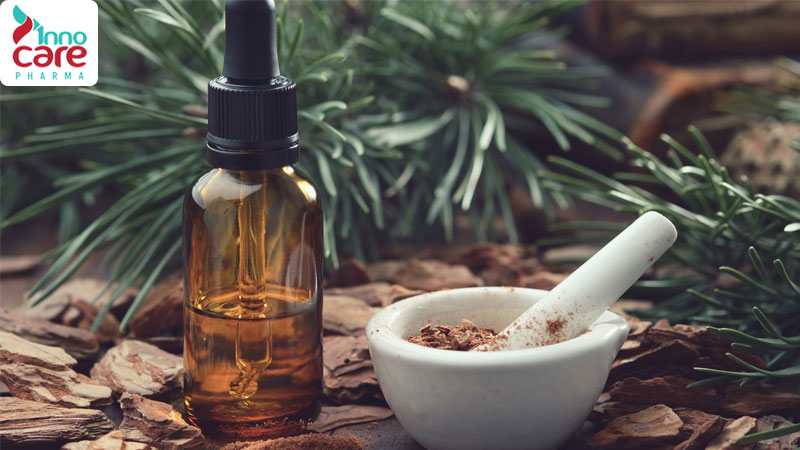 Tinh dầu thông xua đuổi muỗi