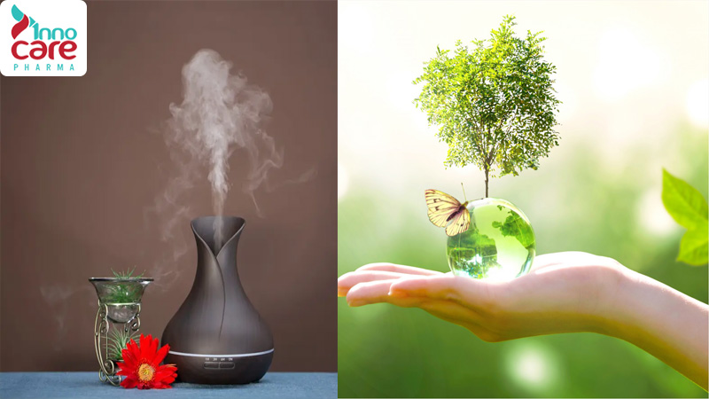 Lợi ích của việc xông tinh dầu đuổi muỗi