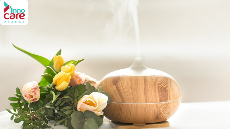Lợi ích của việc xông tinh dầu đuổi muỗi