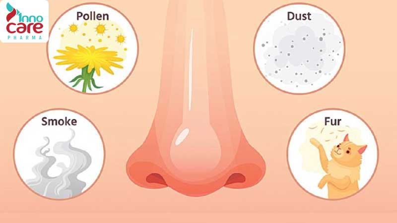 Các chất gây dị ứng nghề nghiệp 1 Viêm mũi dị ứng: Nguyên nhân, dấu hiệu nhận biết và cách điều trị