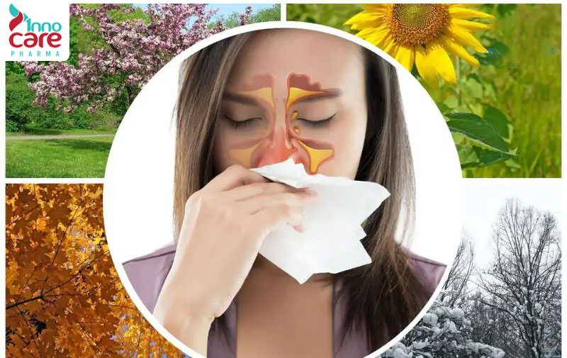 Nguyên nhân gây viêm xoang mũi dị ứng 1 Cách nhận biết các dấu hiệu viêm xoang mũi dị ứng