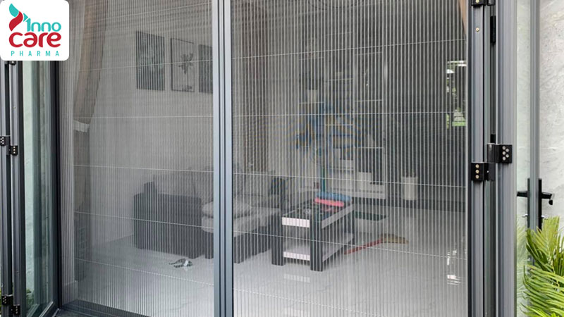 Các loại kiến thường thấy trong nhà và cách đuổi hiệu quả