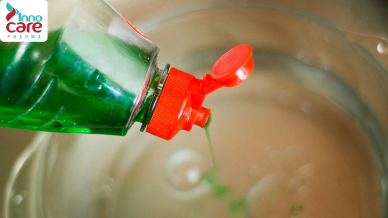 Các loại kiến thường thấy trong nhà và cách đuổi hiệu quả