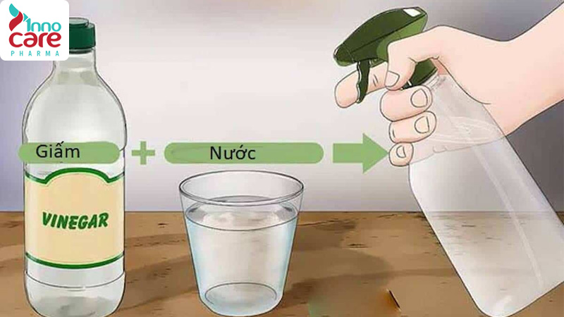 Mách bạn: 10 cách diệt kiến ba khoang tại nhà hiệu quả, ít tốn kém