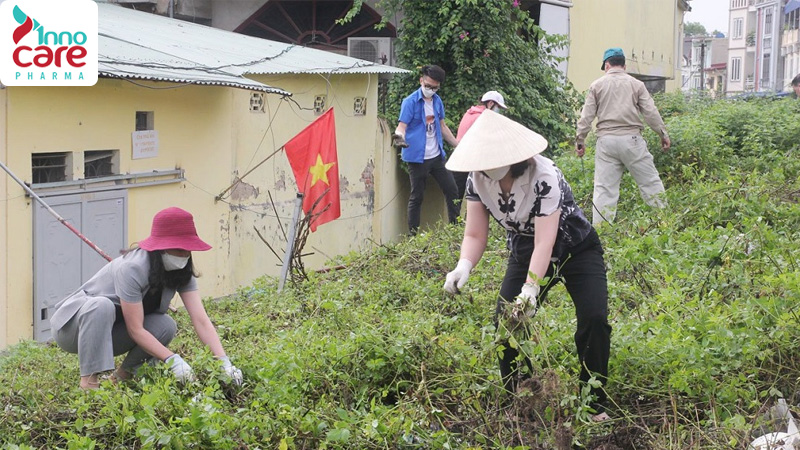Mách bạn: 10 cách diệt kiến ba khoang tại nhà hiệu quả, ít tốn kém