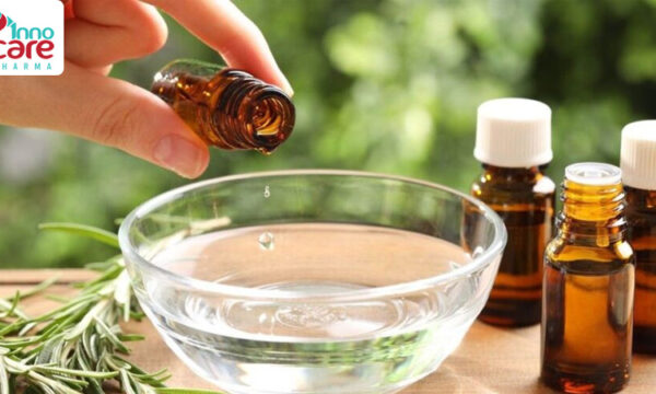 Cách đuổi kiến ba khoang hiệu quả nhanh, không độc hại