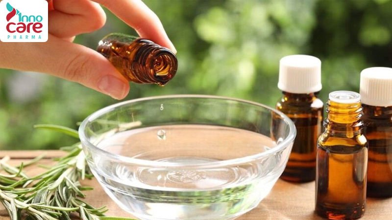 Cách đuổi kiến ba khoang hiệu quả nhanh, không độc hại