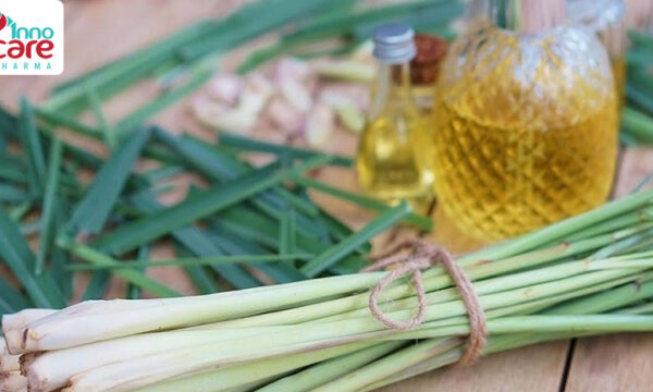 Mách bạn: 10 cách diệt kiến ba khoang tại nhà hiệu quả, ít tốn kém