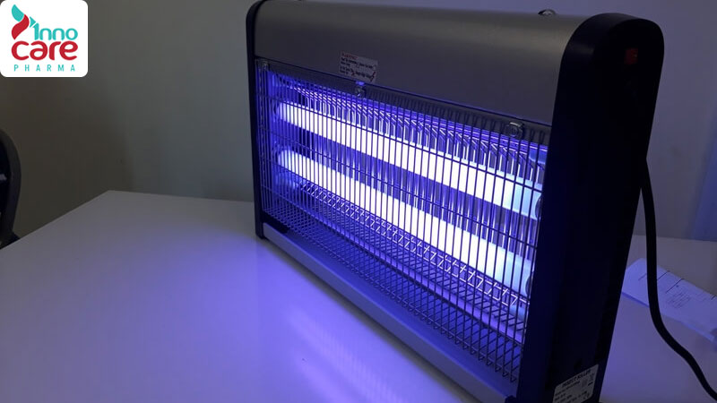 Cách đuổi kiến ba khoang hiệu quả nhanh, không độc hại