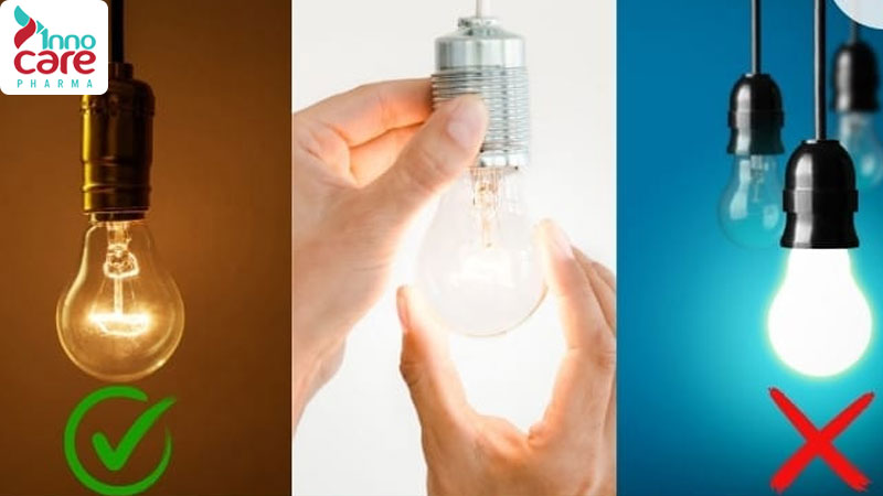 Cách đuổi kiến ba khoang hiệu quả nhanh, không độc hại