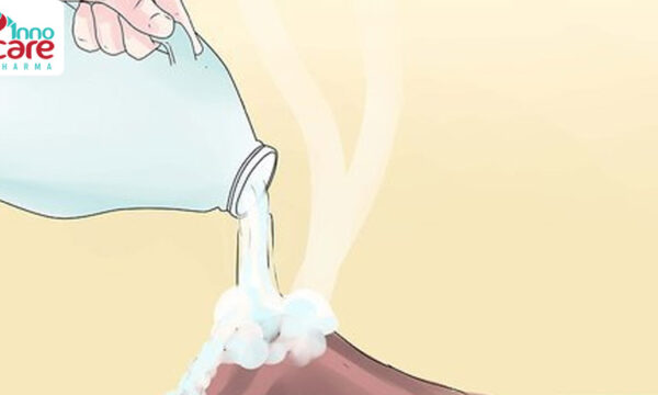 10 cách diệt kiến trong nhà an toàn và hiệu quả nhất nên áp dụng