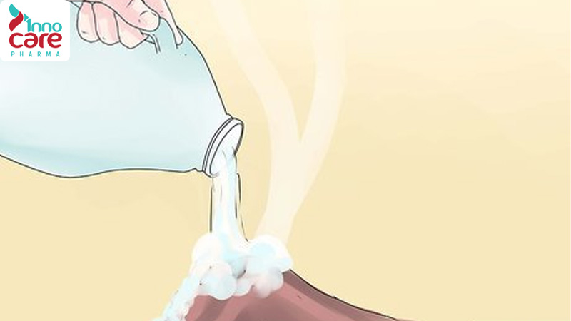 10 cách diệt kiến trong nhà an toàn và hiệu quả nhất nên áp dụng