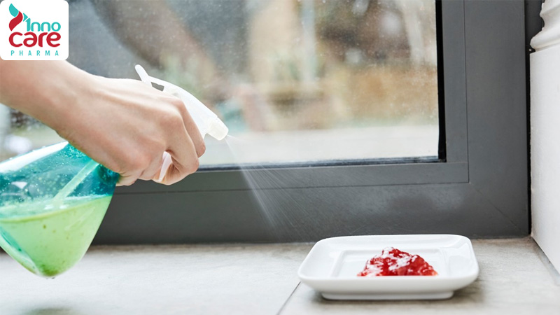 Cách đuổi kiến làm tổ trong nhà bằng phương pháp tự nhiên