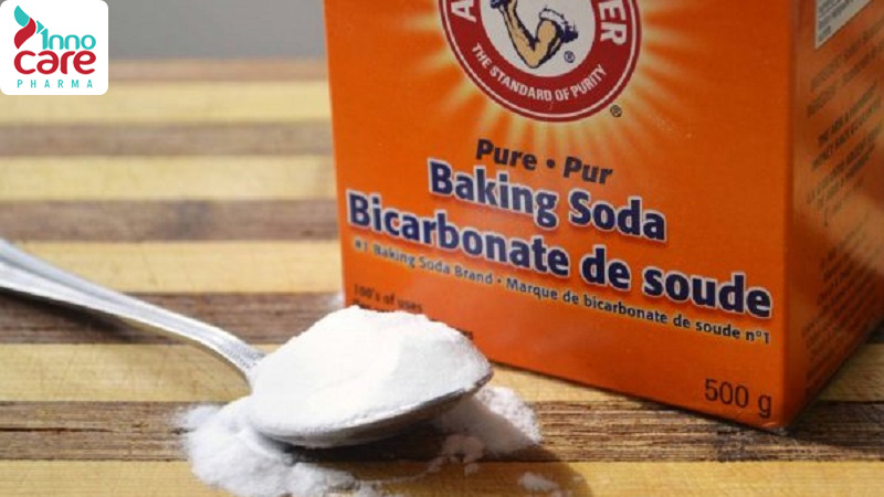 Các loại kiến thường thấy trong nhà và cách đuổi hiệu quả