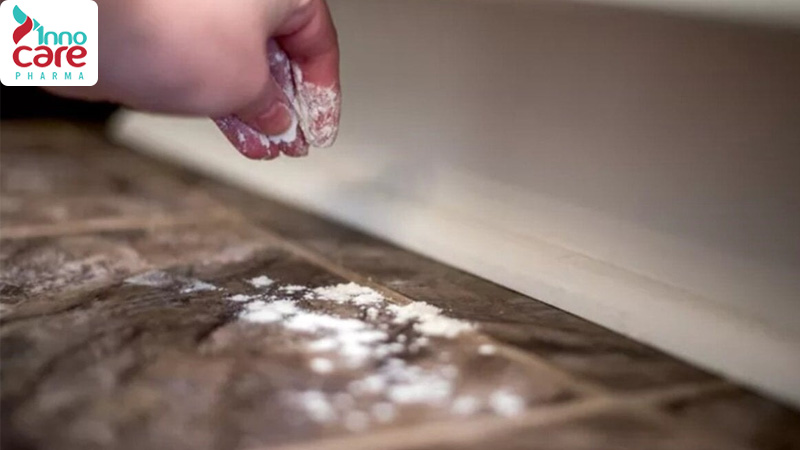 Cách đuổi kiến ra khỏi đường và ngăn kiến quay lại hiệu quả