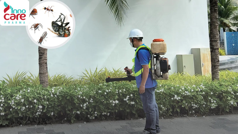 26 Cách đuổi kiến ra khỏi nhà an toàn, nhanh chóng và hiệu quả