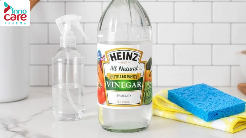 10 cách đuổi kiến trong phòng ngủ và trên giường triệt để và an toàn