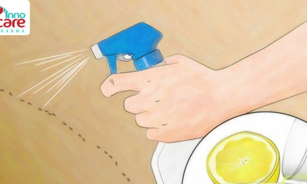 6 sản phẩm và phương pháp tự nhiên đuổi kiến hiệu quả