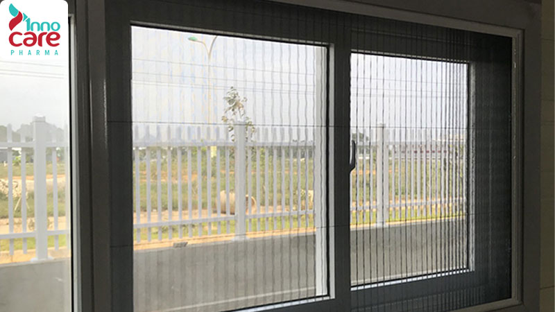 Tìm hiểu các loại kiến ở Việt Nam phổ biến hiện nay