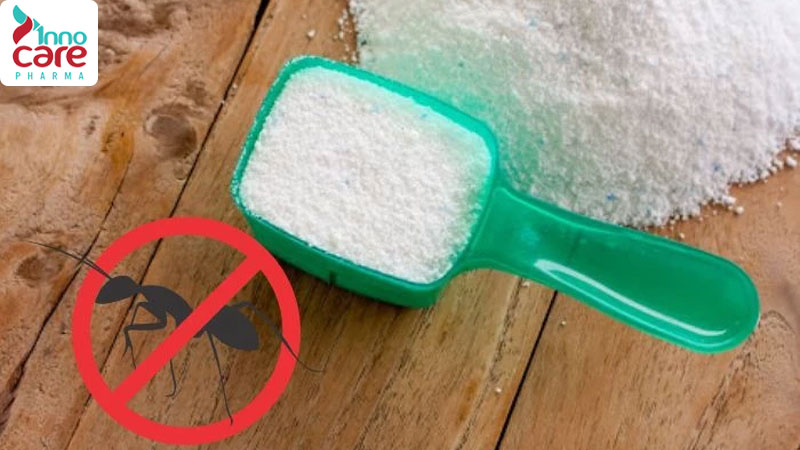 3. Sử dụng bột phấn hoặc xà phòng 1 Cách đuổi và diệt kiến cánh bay vào nhà hiệu quả nhất