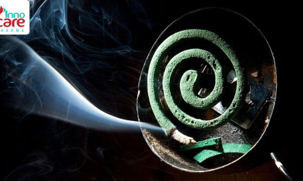 Đốt và hít khói nhang muỗi có độc không? Cần lưu ý gì?