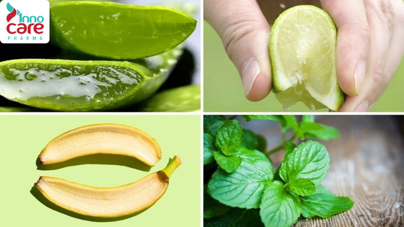 Tại sao muỗi đốt lại ngứa? Giải thích chi tiết và chuẩn xác nhất